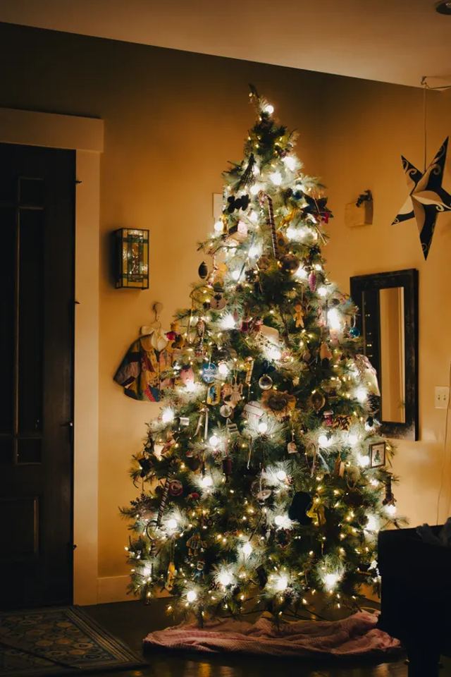 A warmly lit Christmas tree in Jessie's home